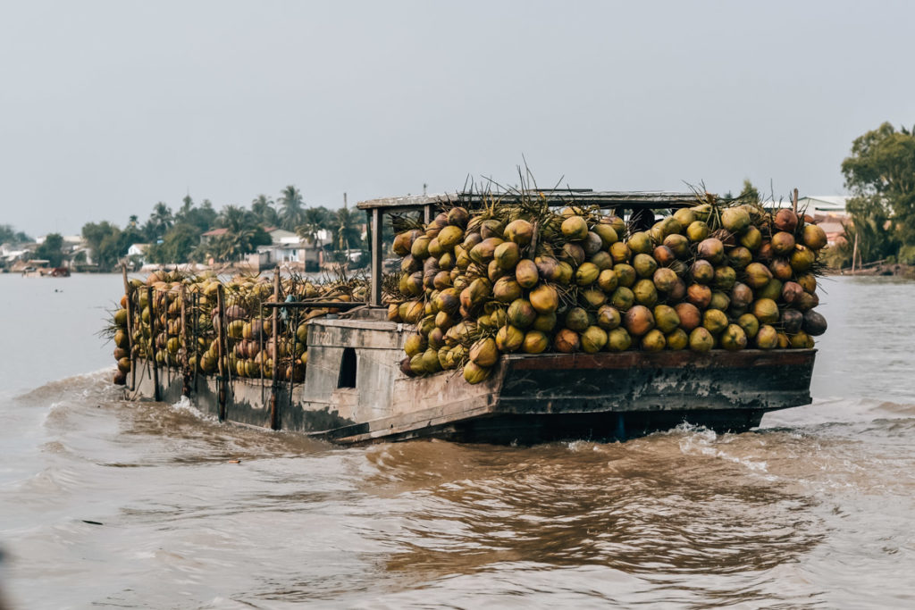 Kokosnüsse Ben Tre