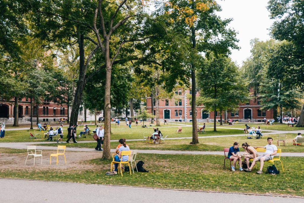 Harvard Campus