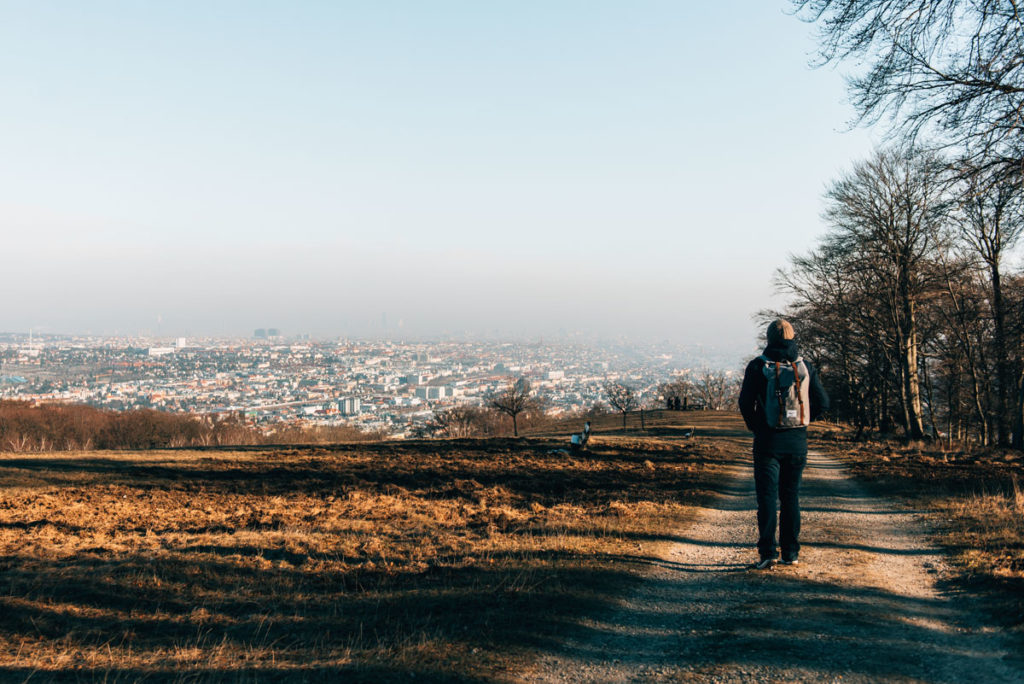 Ausblick Lainzer Tiergarten