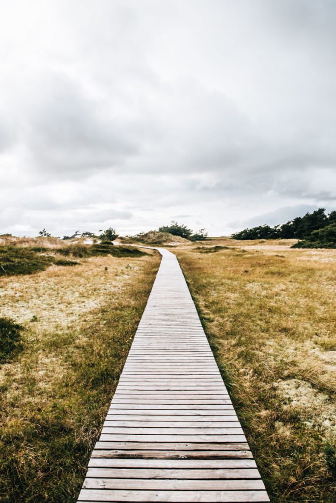 Rundweg Darsser Ort