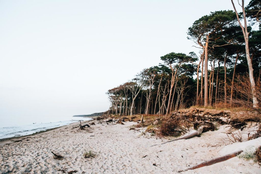 Weststrand Darss
