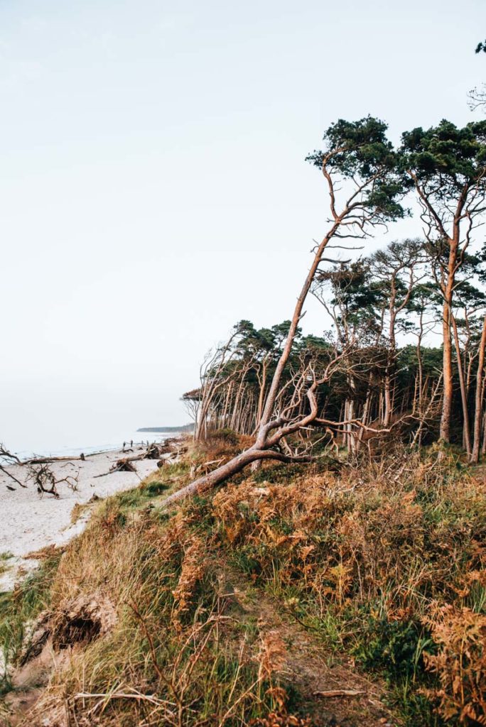 Weststrand Fotografieren