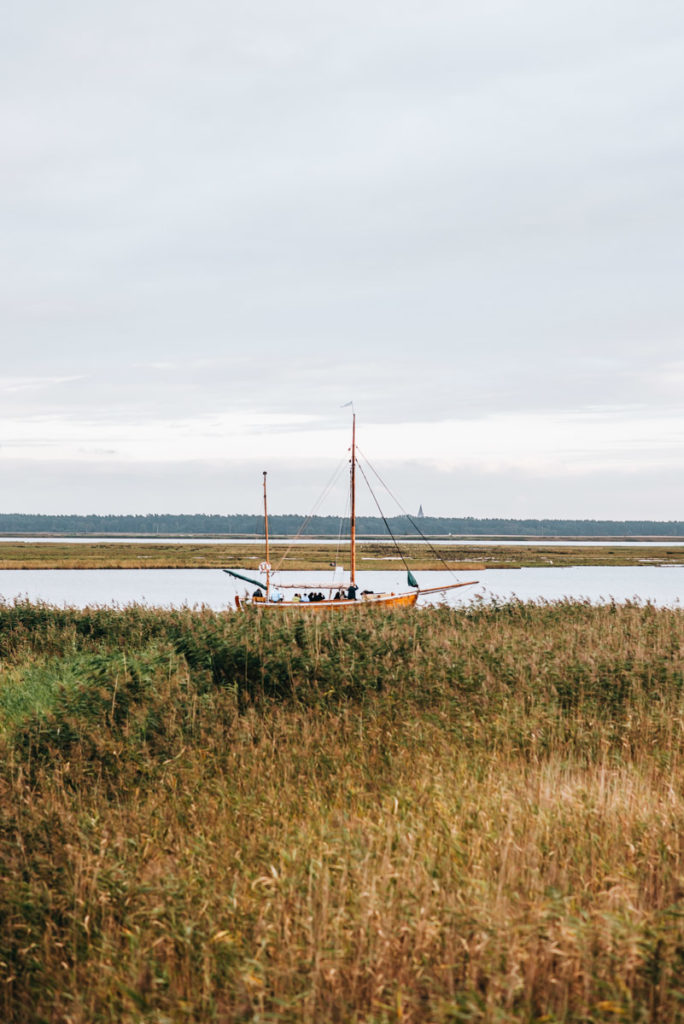 Zingst Kraniche beobachten
