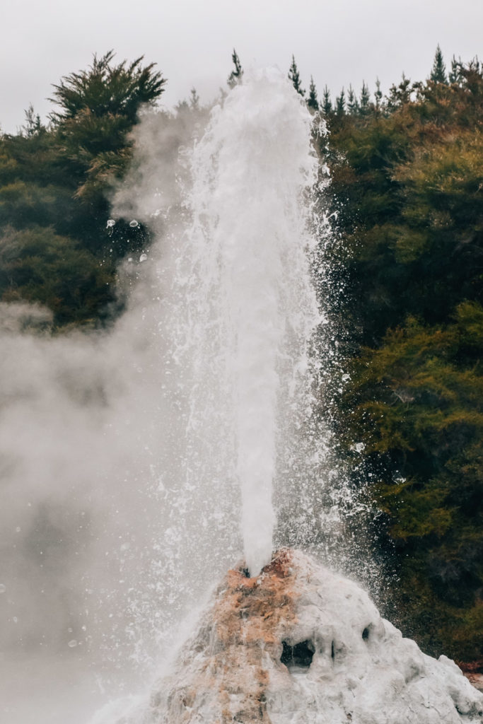Lady Knox Geysir