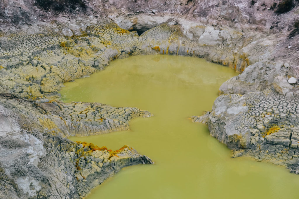 Mudpool Wai O Tapu