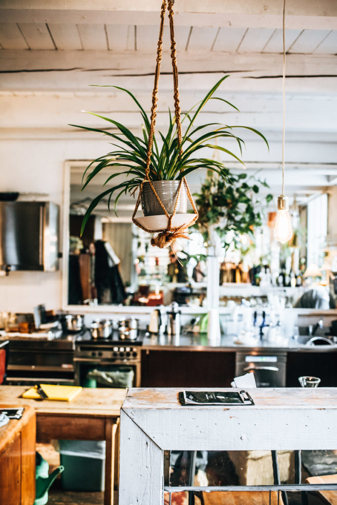 Burggasse24 Cafe