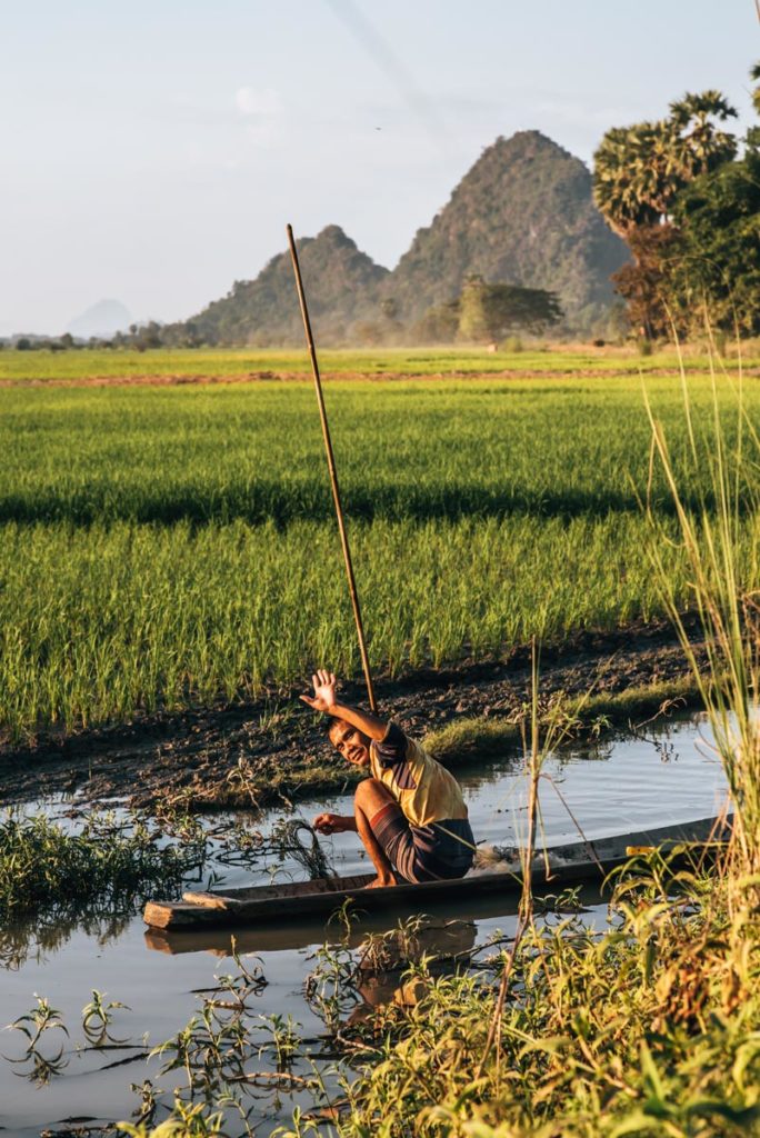 Hpa an Reisfelder Tipps