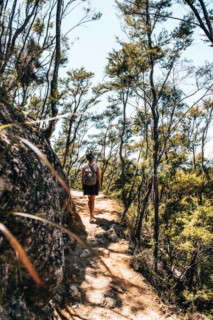 Abel Tasman Tageswanderung