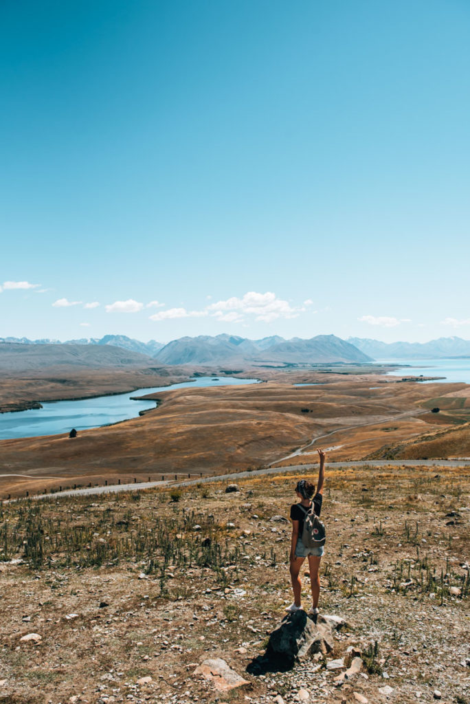 Ausblick Lake Tekapo