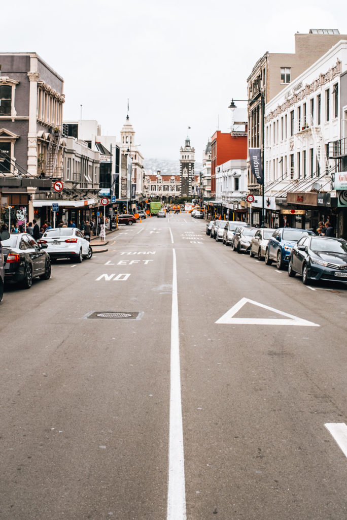 Dunedin Attractions