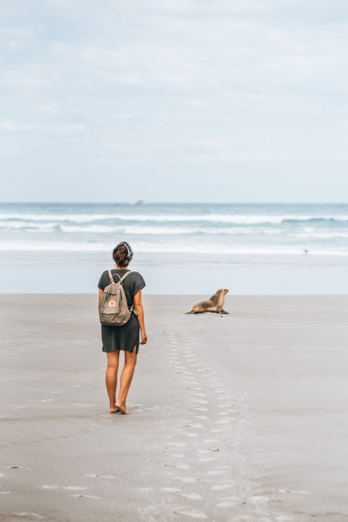 Sandfly Bay Seals