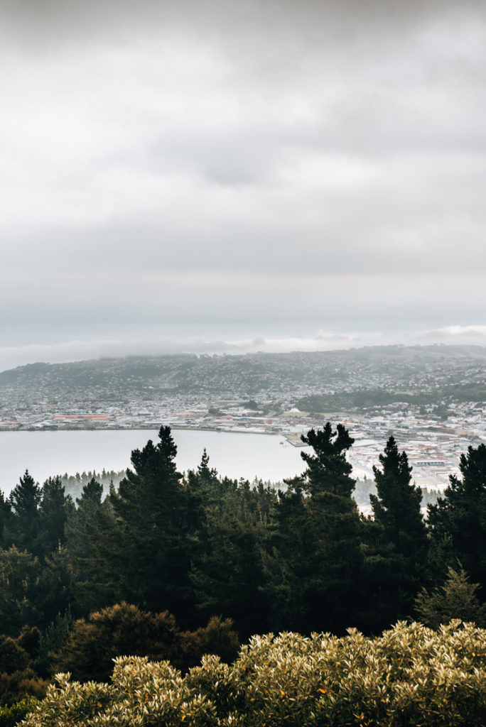 Signal Hill View