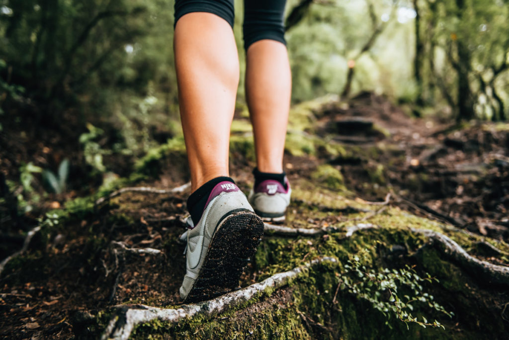 Waikaremoana Wandern