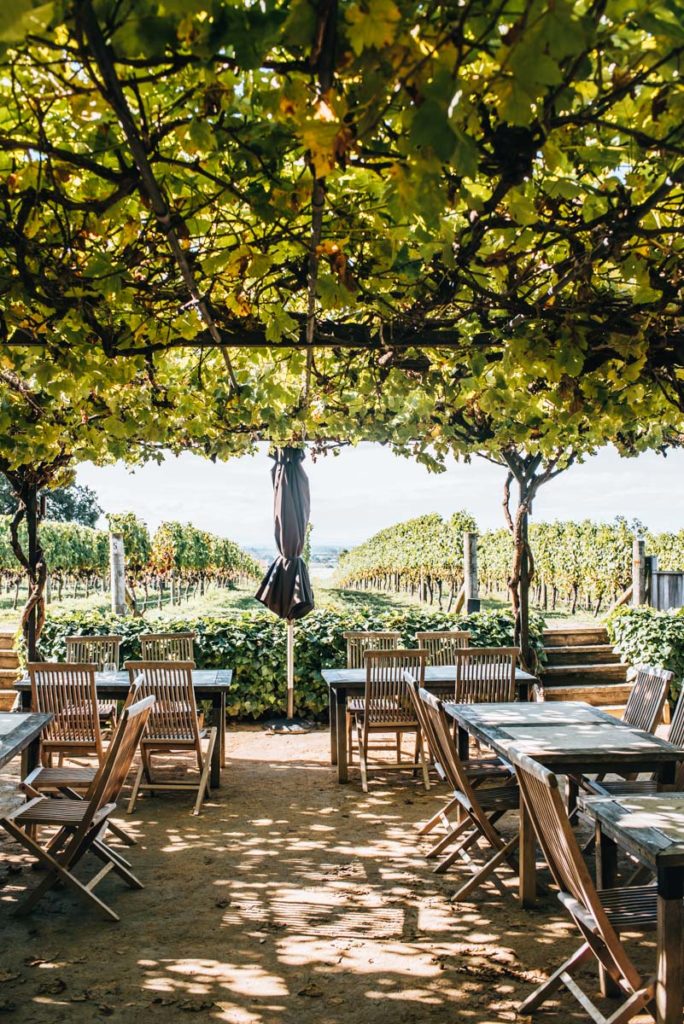 Black Barn Vineyard