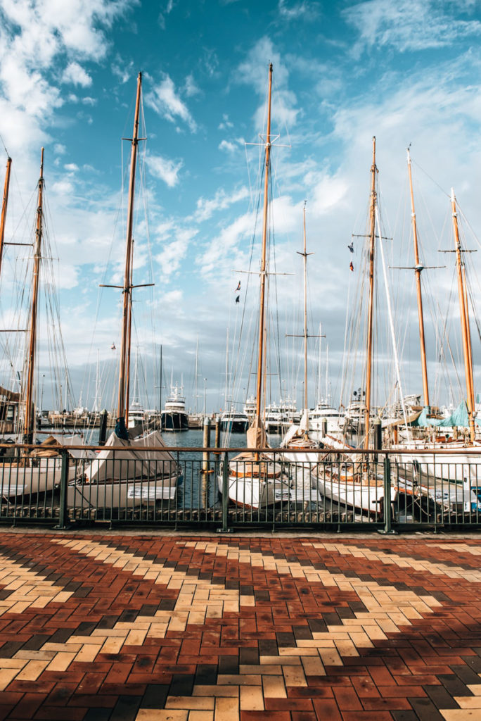 Harbour Auckland
