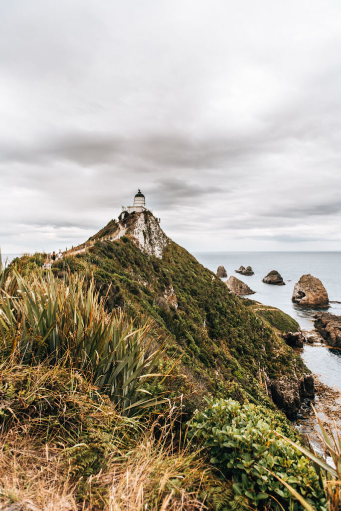 Leuchtturm Neuseeland