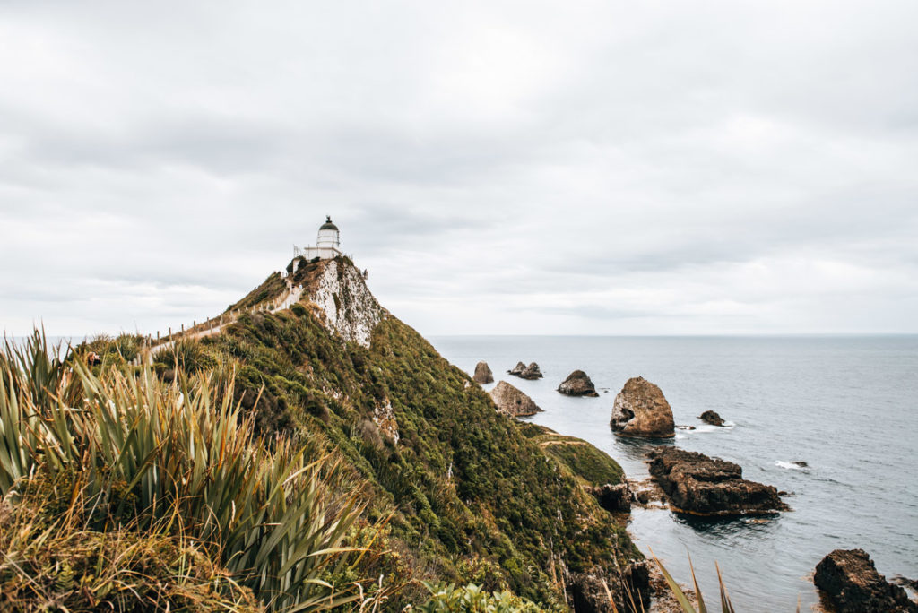 Nugget Point