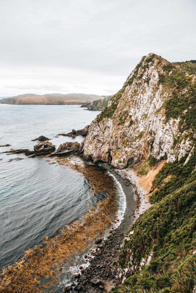 Nugget Point New Zealand