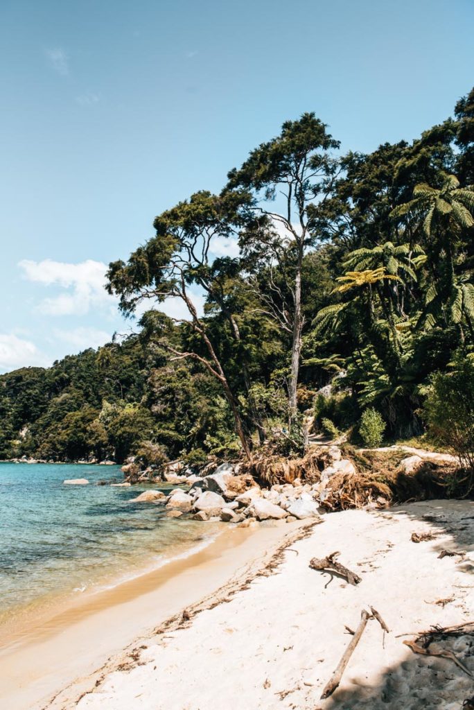 Beaches Abel Tasman
