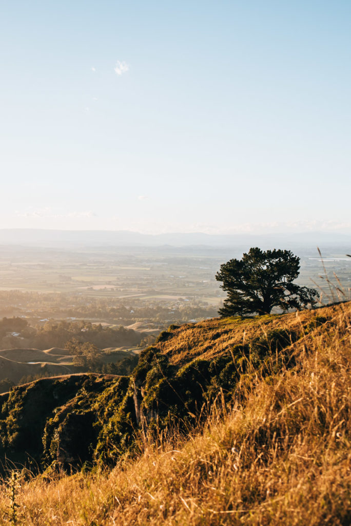 Te Mata Napier