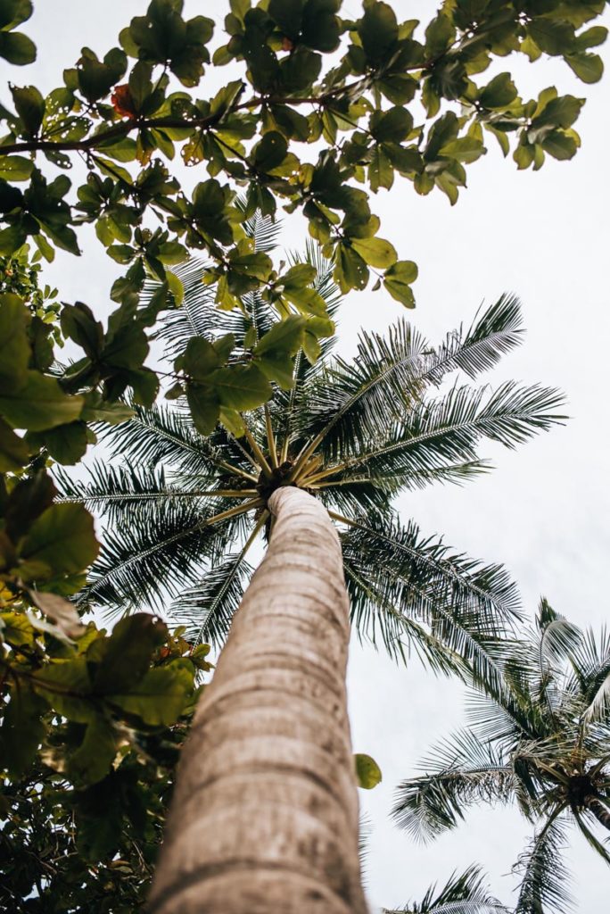 Koh Lanta Daytrip