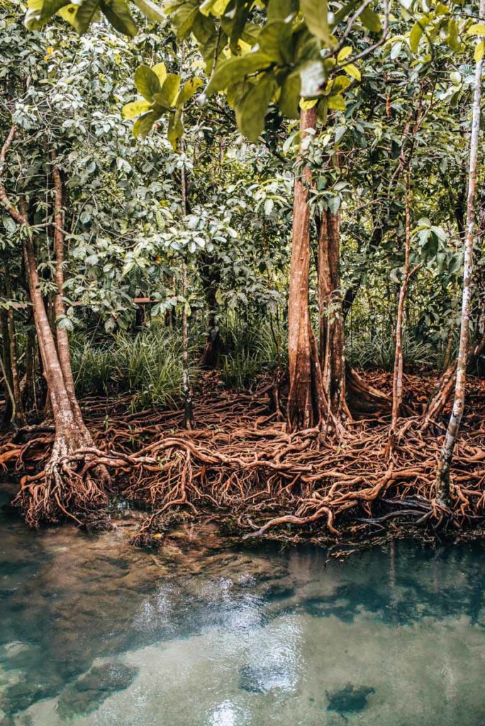 Tha Pom Klong Krabi