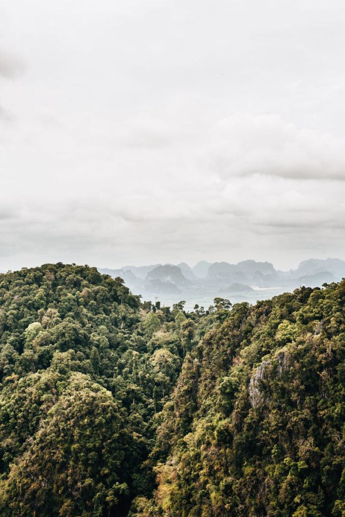 Tiger Cave Ausblick