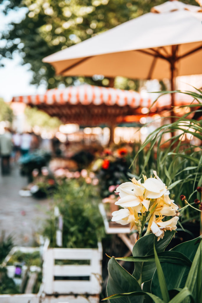 Bamberg Market