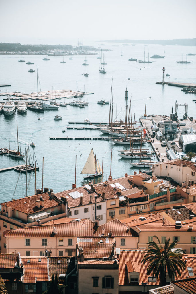 Cannes Viewpoint