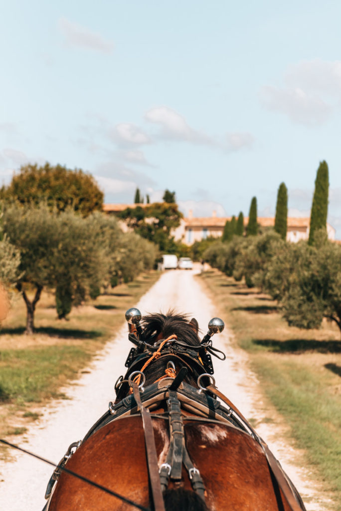 Provence Hipposervice