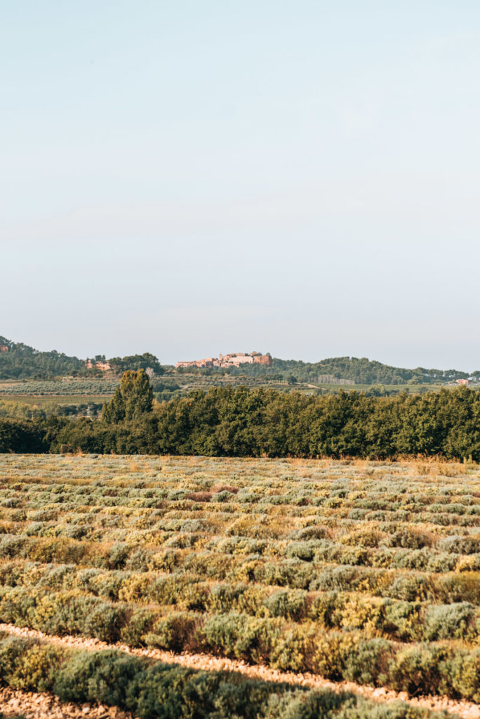 Roussillon
