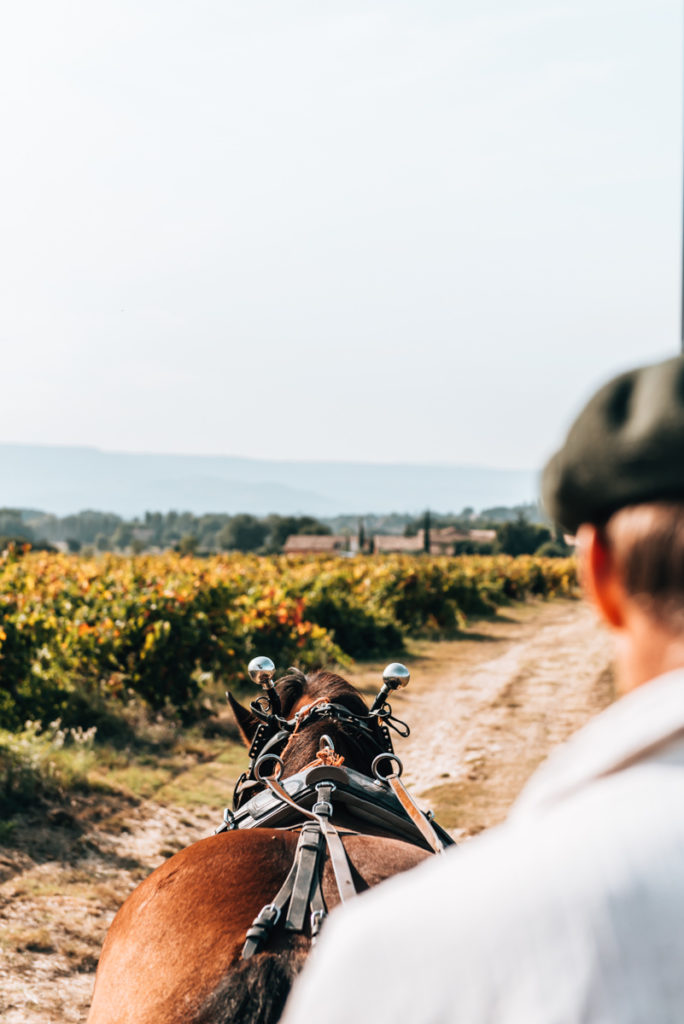 Roussillon Provence