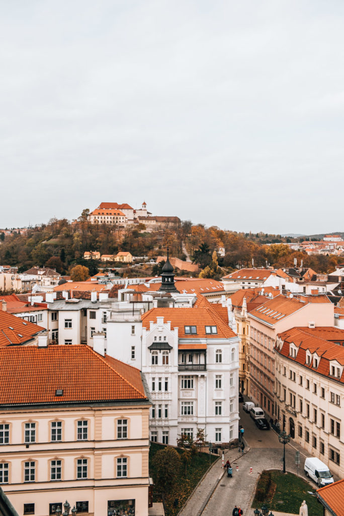Cathedral Brno View