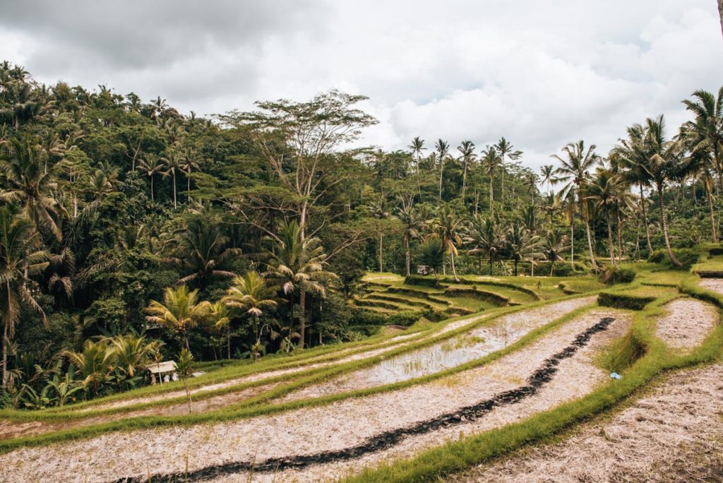 Bali Ausflug Tipps