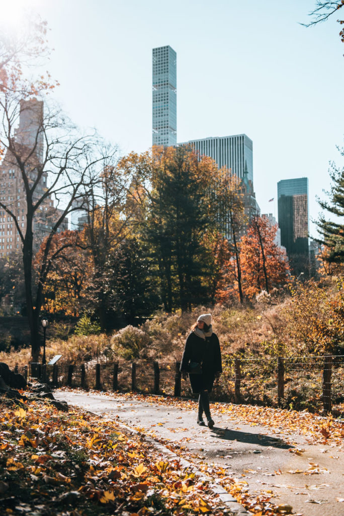 Central Park Winter