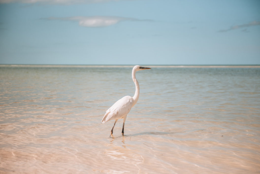 Holbox Erfahrungen