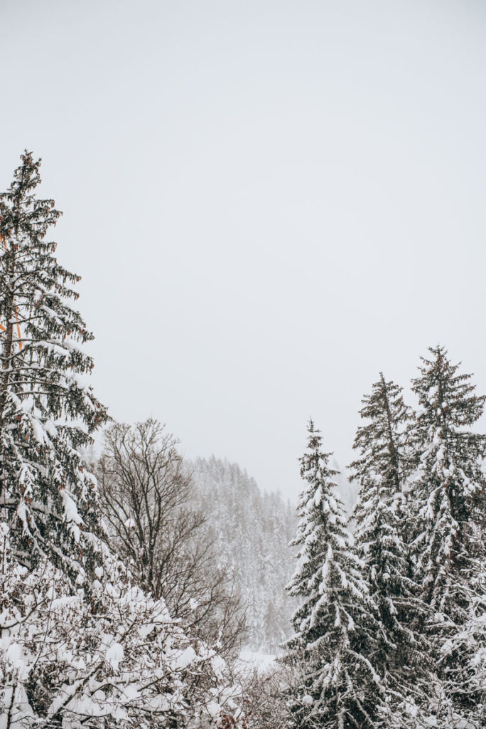 Leogang Schneehöhe