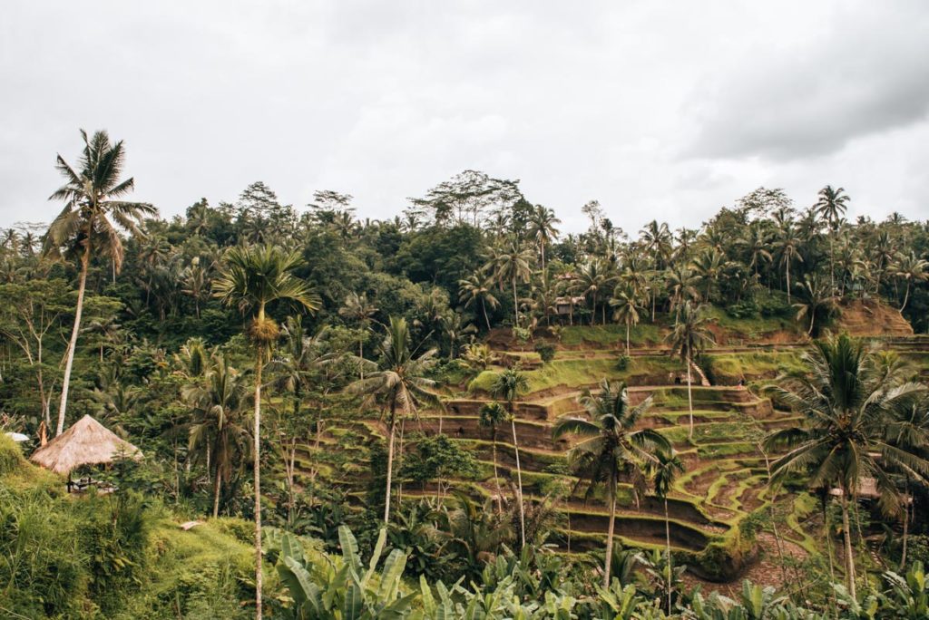 Tegalalang Bali