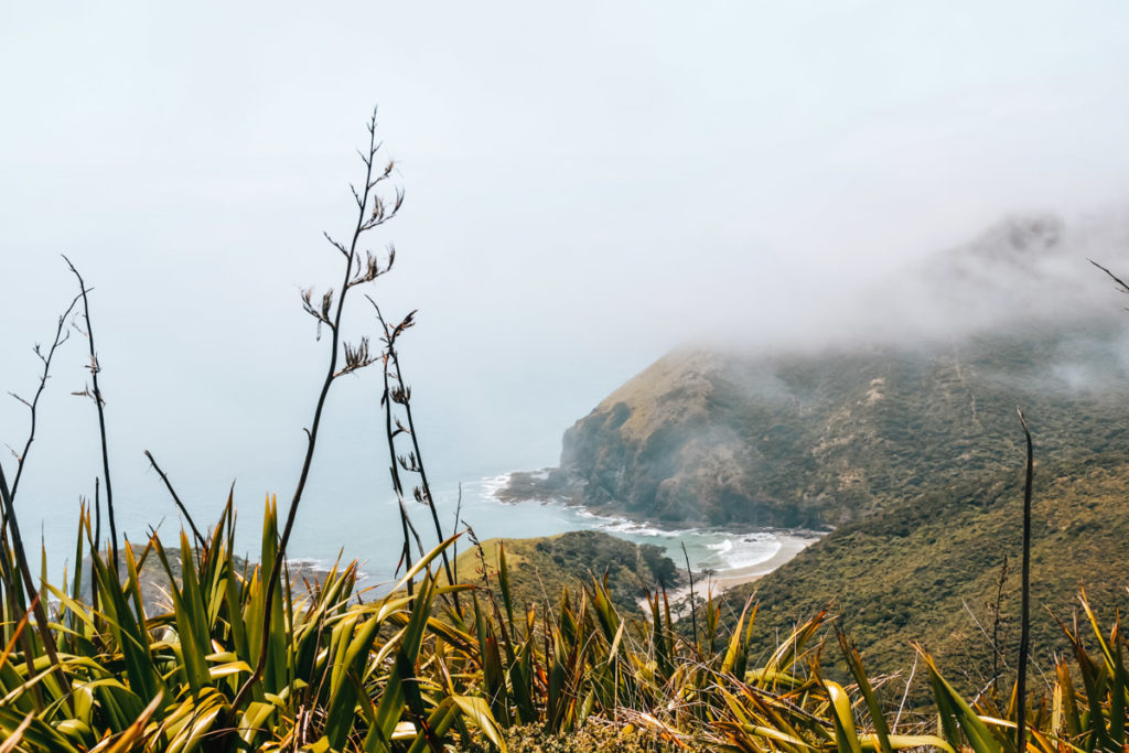 Cape Reinga Anreise