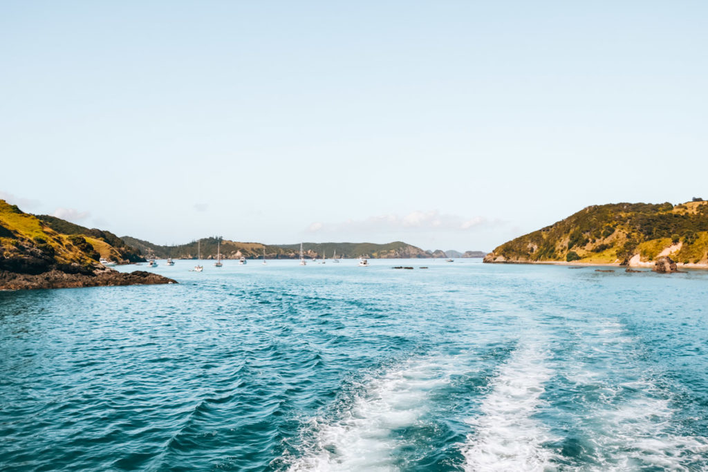 Paihia Ausflug