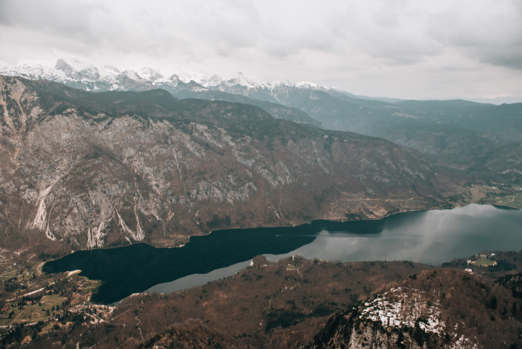 Bohinj Vogel