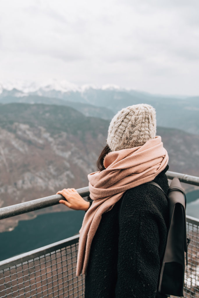 Vogel Aussicht Bohinj