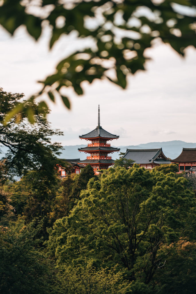 Japan Travel Tips