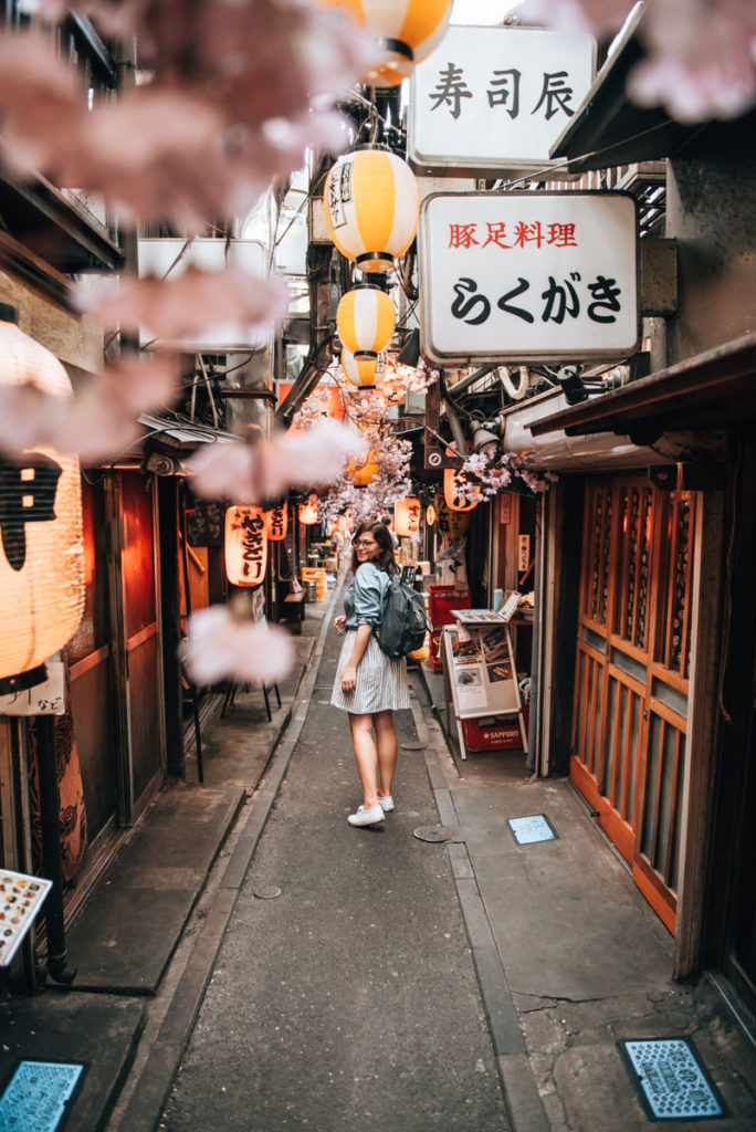 Piss Alley Tokyo