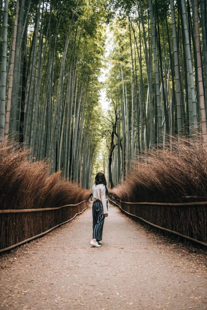 Japan Reise Tipps
