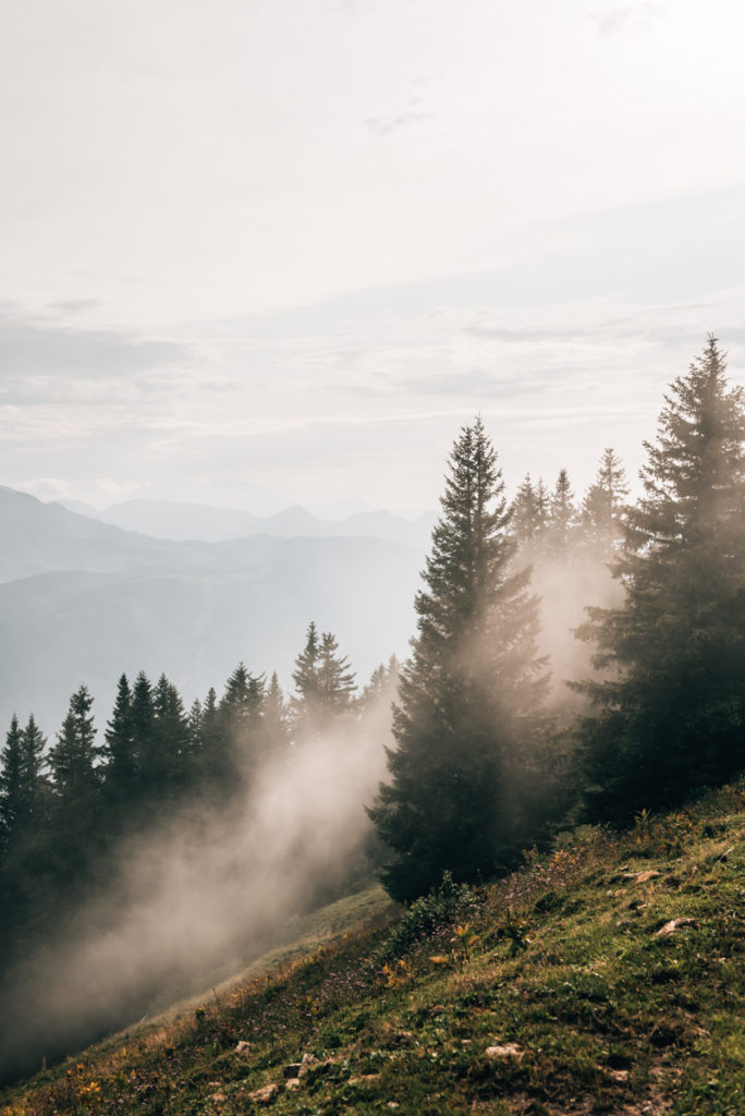 Bezau Wanderung