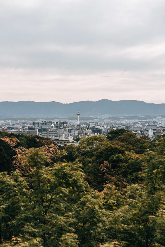Kyoto Viewpoint
