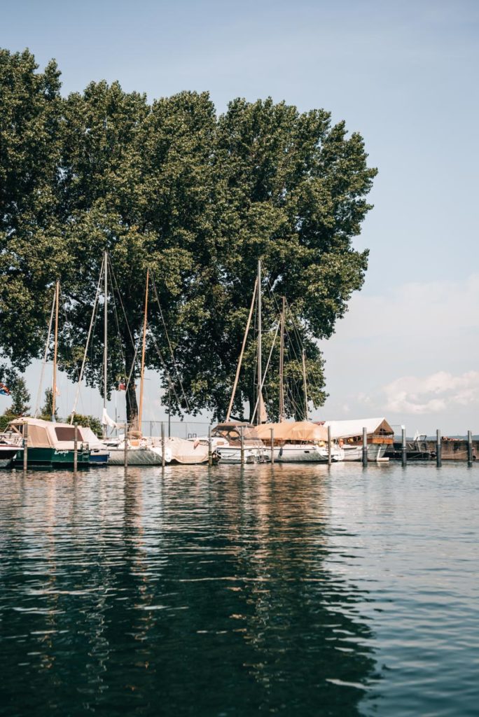 Stand up Paddling Lake Constance