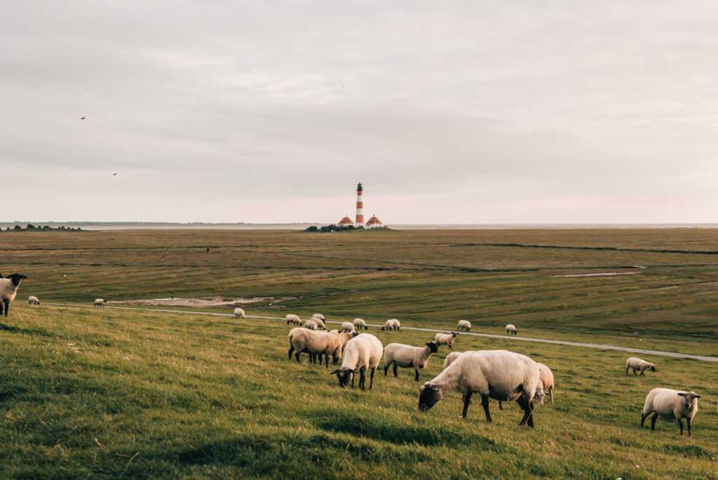 Leuchtturm St Peter Ording