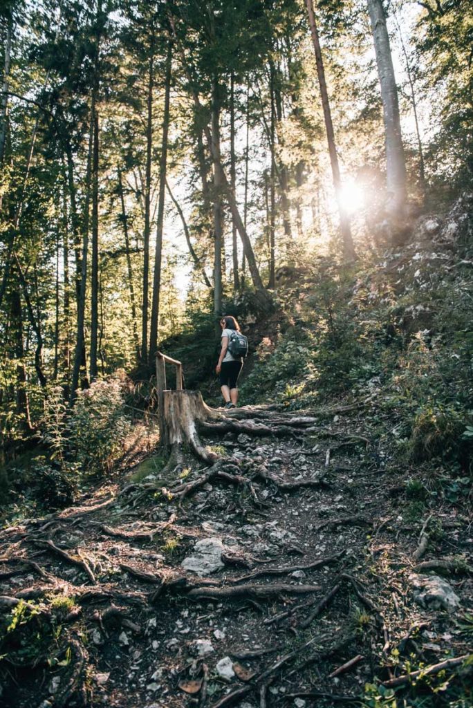 Myrafälle Niederösterreich Wandern